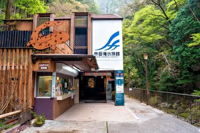 🦎 아카메 폭포 수족관 (일본 도롱뇽 센터) 이미지 2